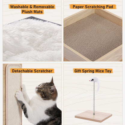 Maison pour chat, lit pour chat, arbre à chat avec griffoir et tapis amovibles