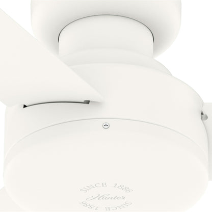 Pergola extérieure en acier de 3 m x 4 m, tonnelle avec trous de drainage pour terrasse, piscine et jardin.